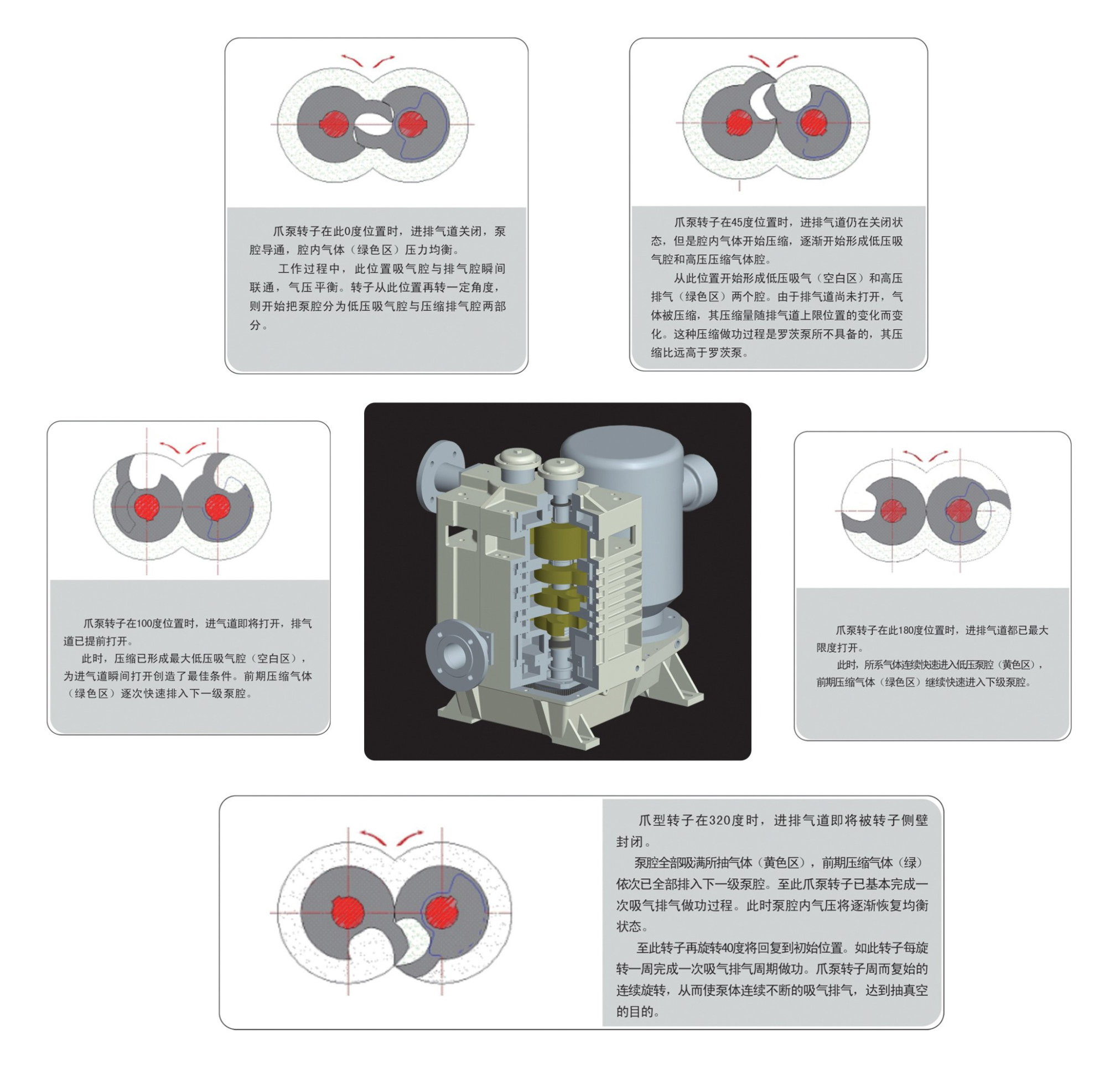 爪型干式真空泵結(jié)構(gòu)圖